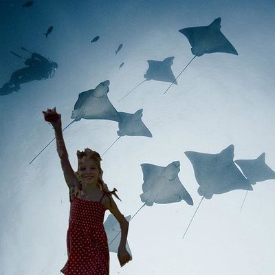 Agnes swart kitegirl