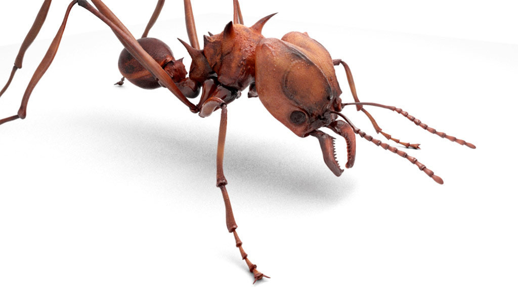 ArtStation - Leafcutter Ant