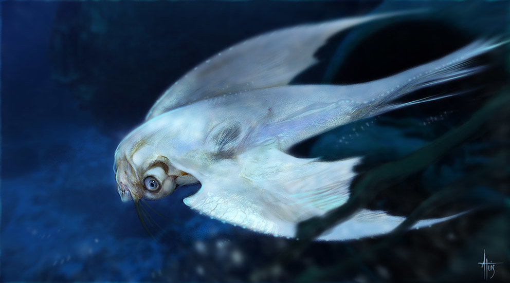 Skull fish