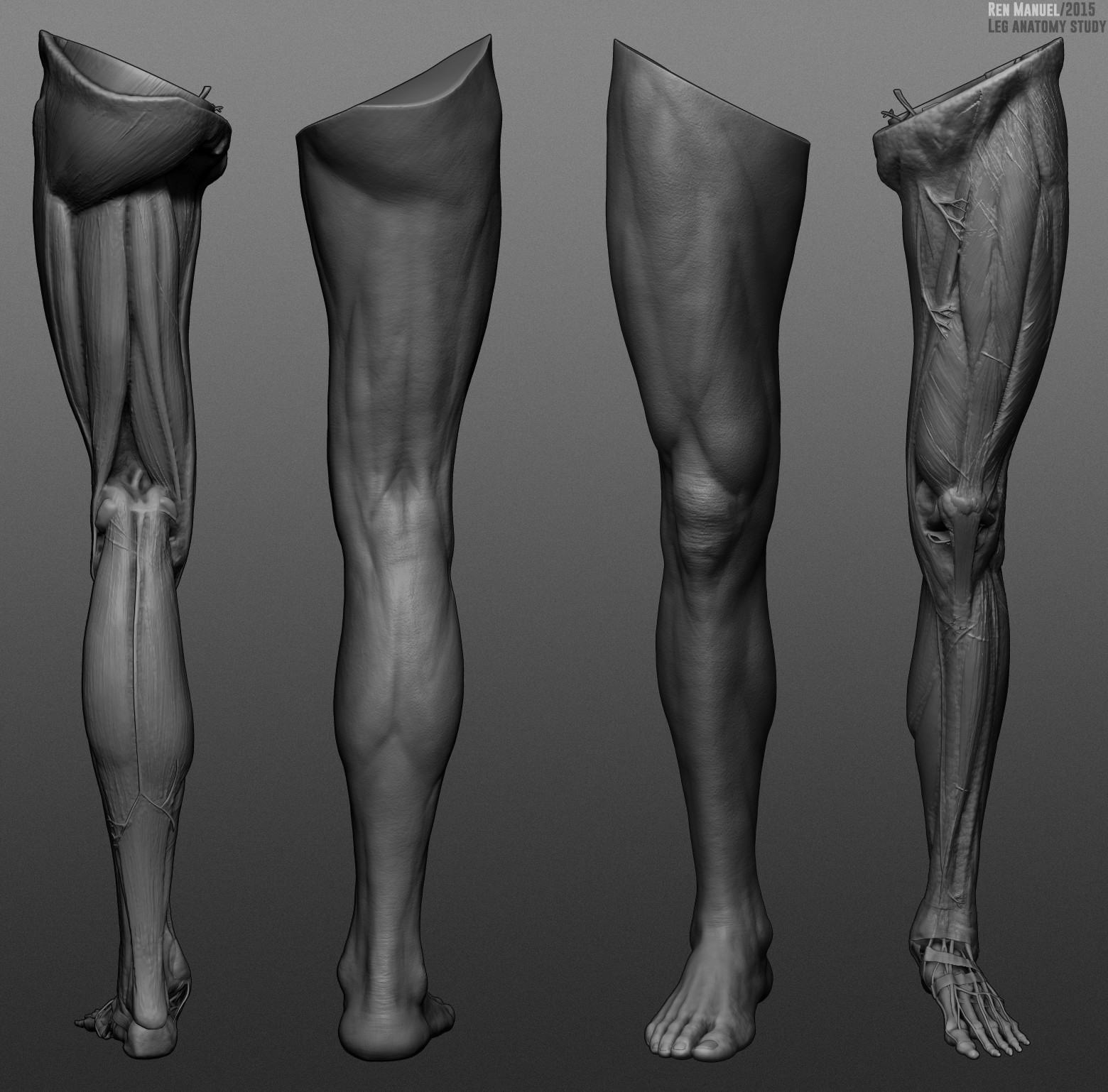 Front legs