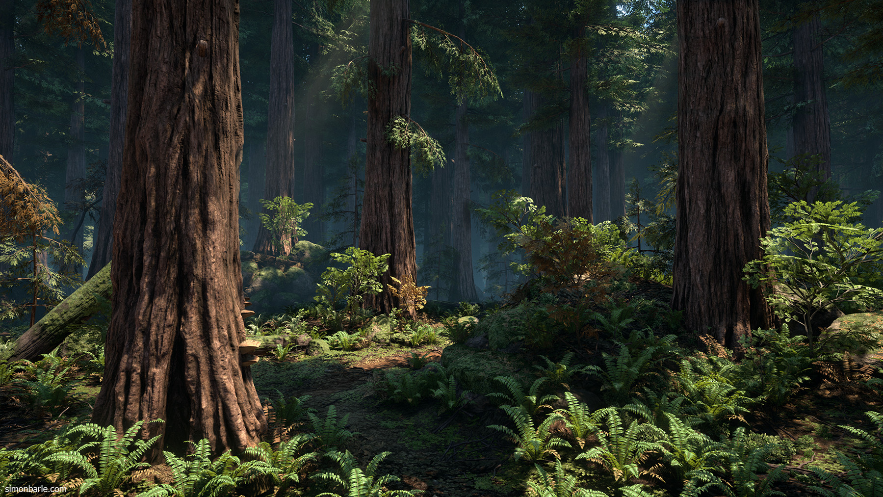 ArtStation - Redwood Forest UE4, Simon Barle