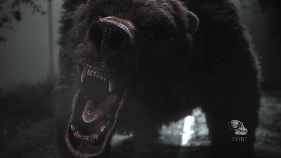 Once Upon A Time Bear