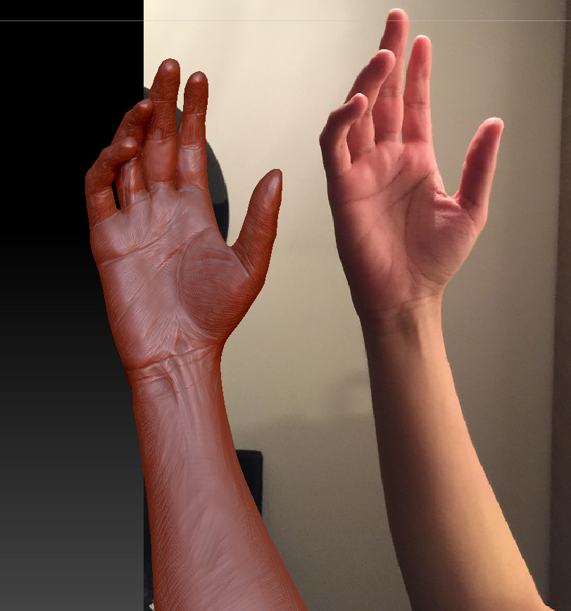 ArtStation - Hand sculpt exercise