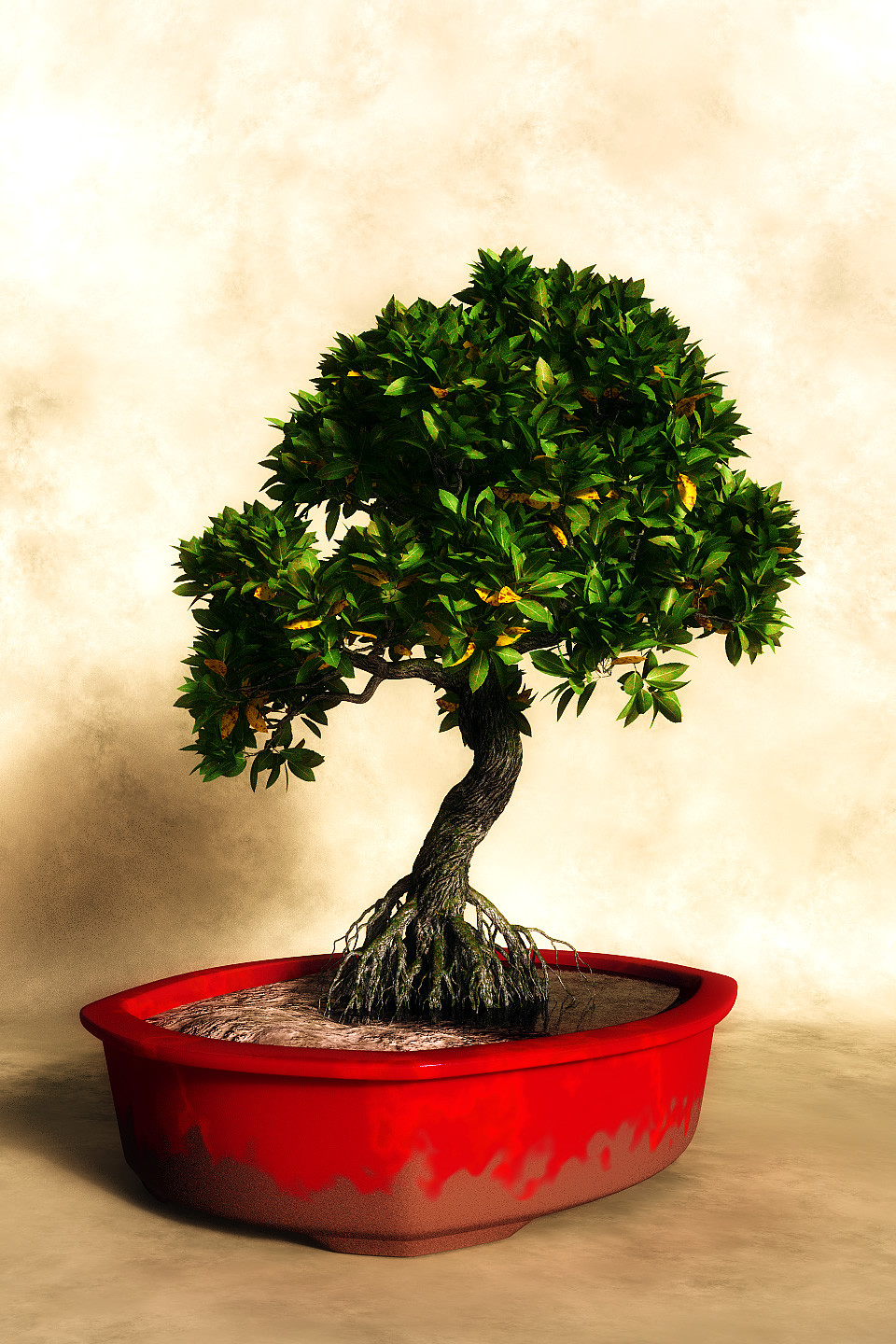 The impossible Rhizophora bonsai tree
