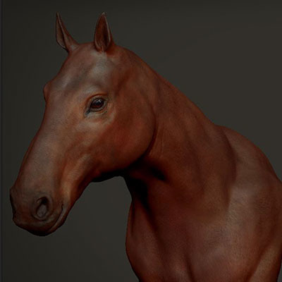Horse head ( sculpted and retopologized )