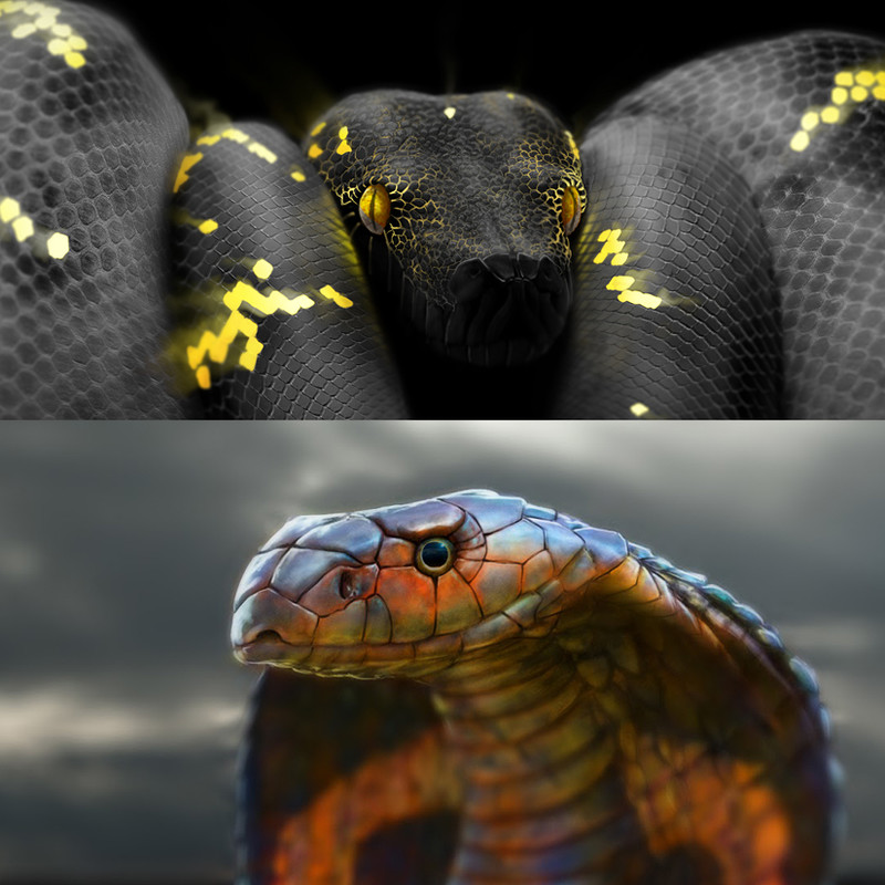 Surreal Snakes