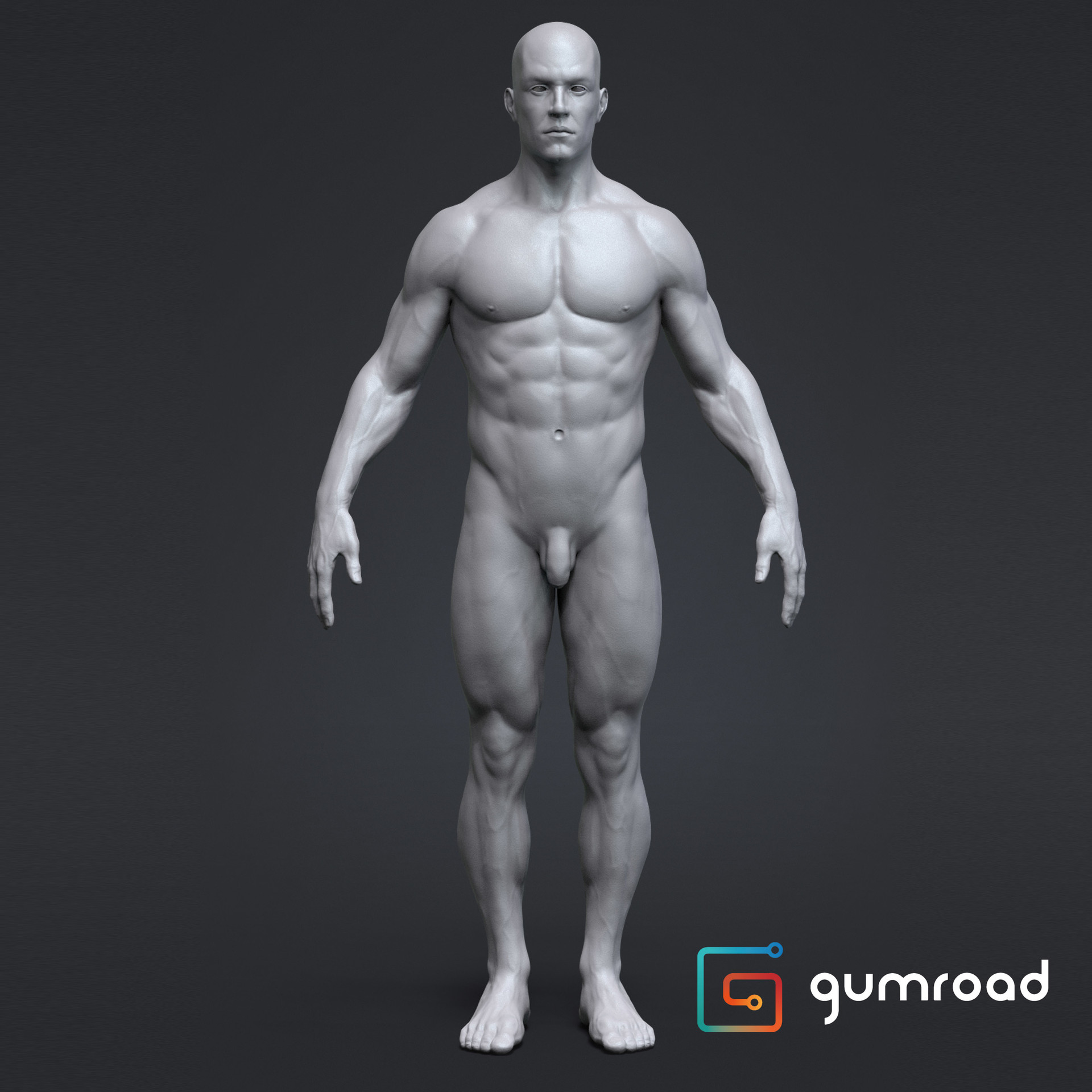 Anatomy Male Tool Reference for Artists !