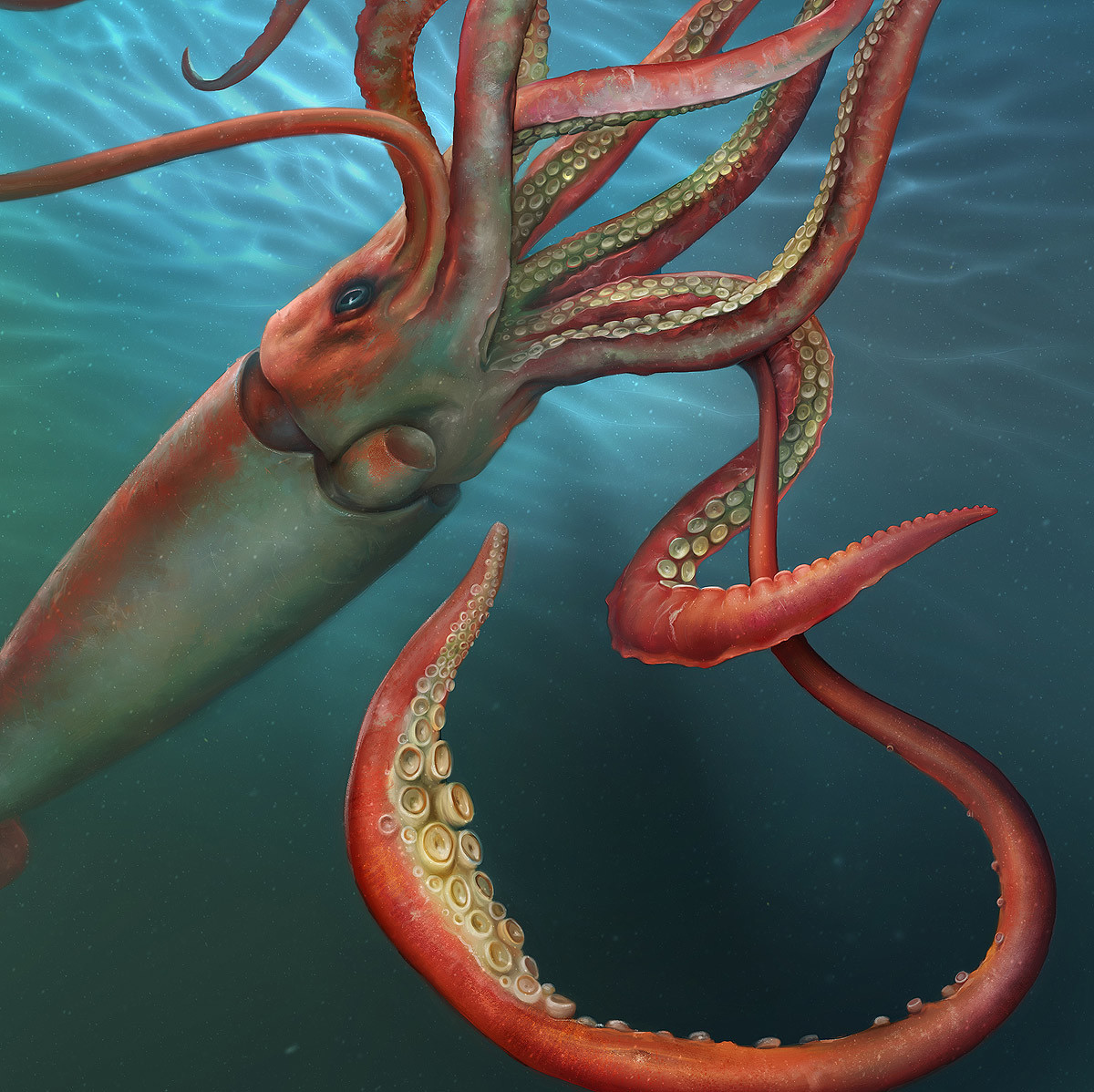 the pathless giant squid