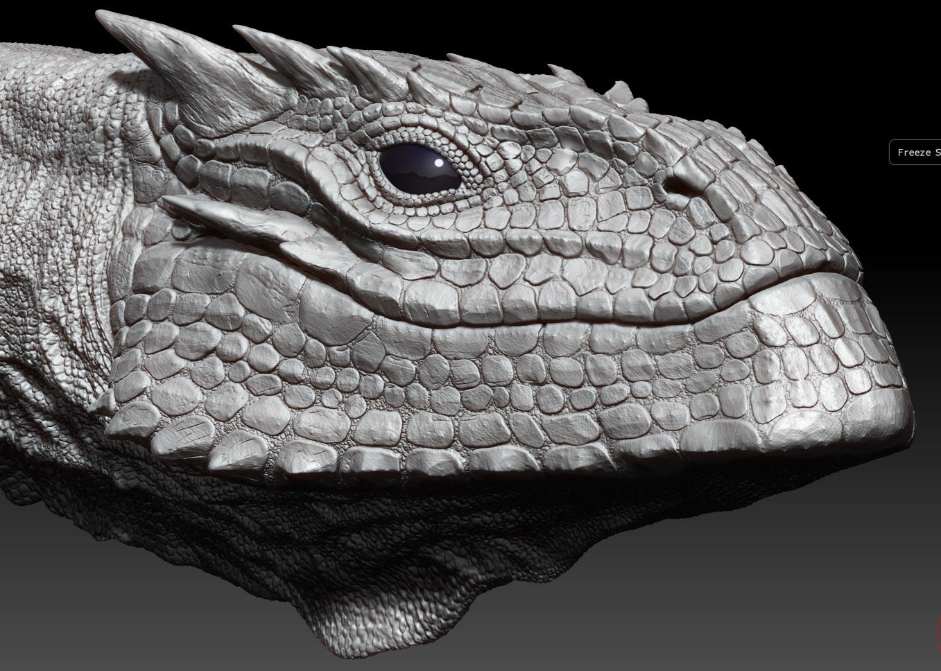 Dragon Speedsculpt 