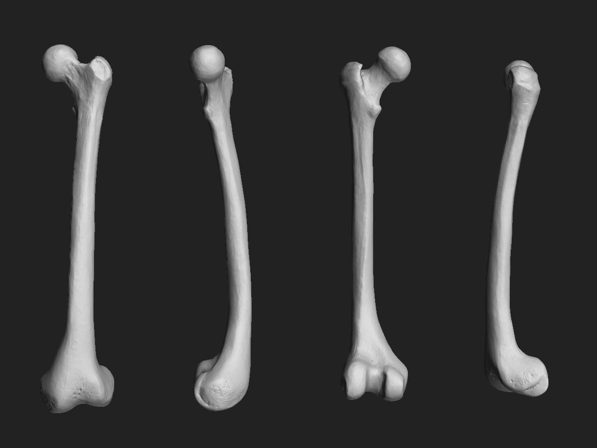 ArtStation - Model for a project called