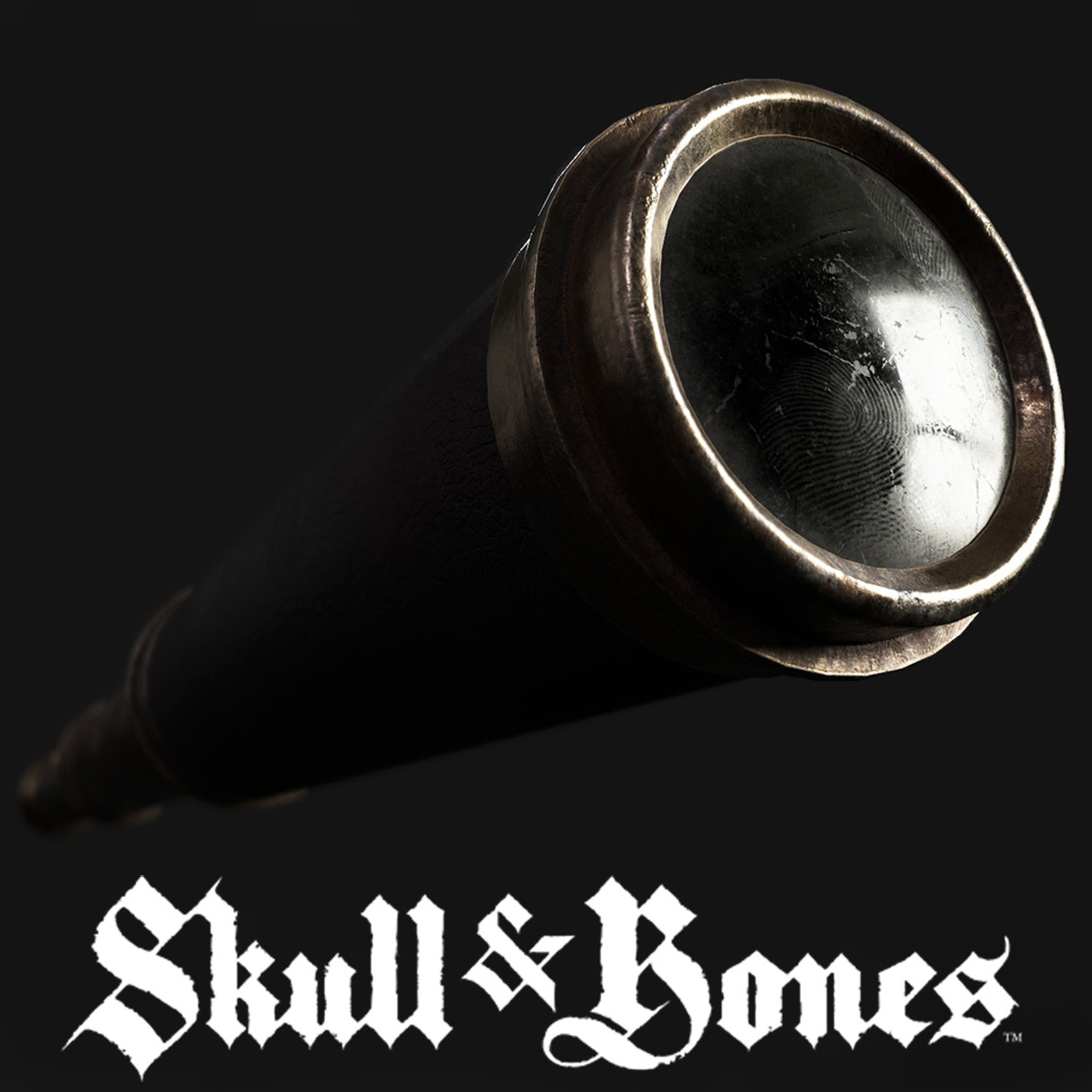 Skull and Bones  Goodbye Kansas Studios