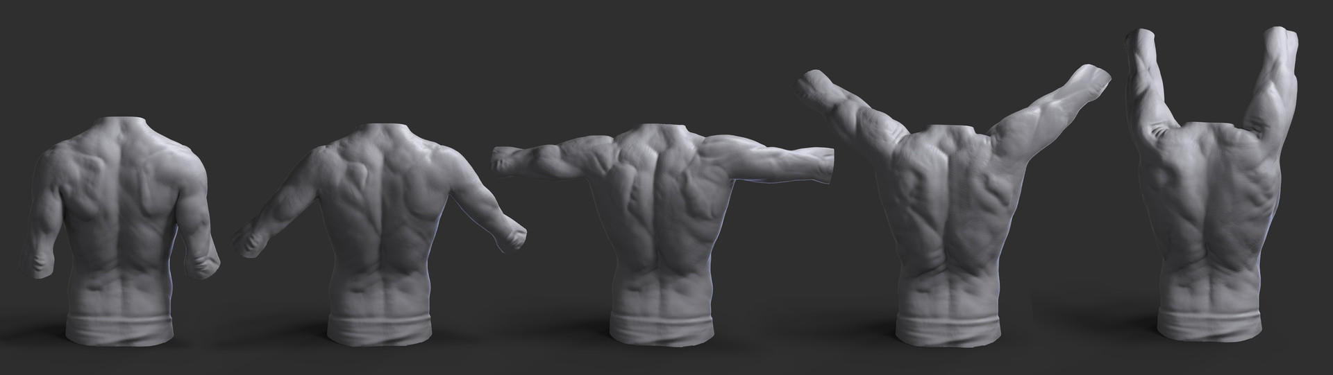 ArtStation - Shoulders Anatomy