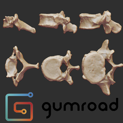 ArtStation - Gumroad scanned human vertebrae