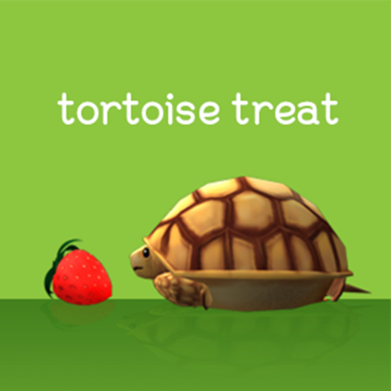tortoise treat