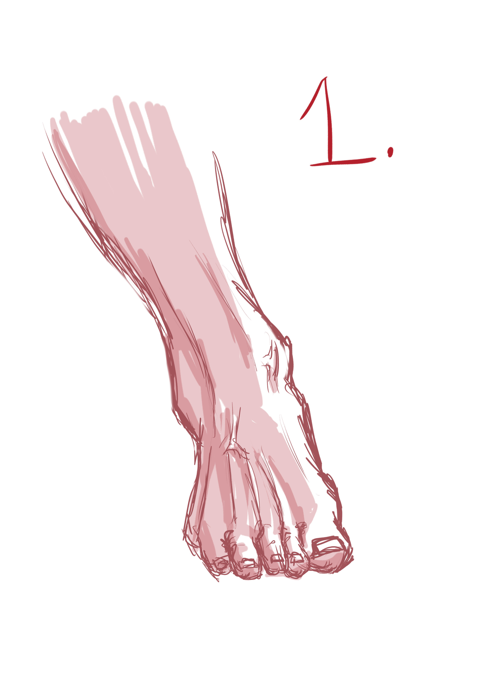 ArtStation Foot Anatomy