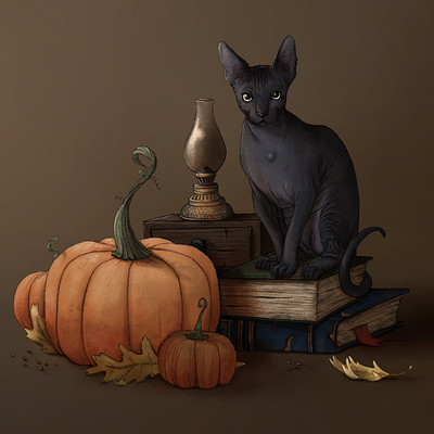 Alessandra kerstulovich windows