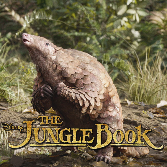 Jonathan Reilly Jungle Book Pangolin