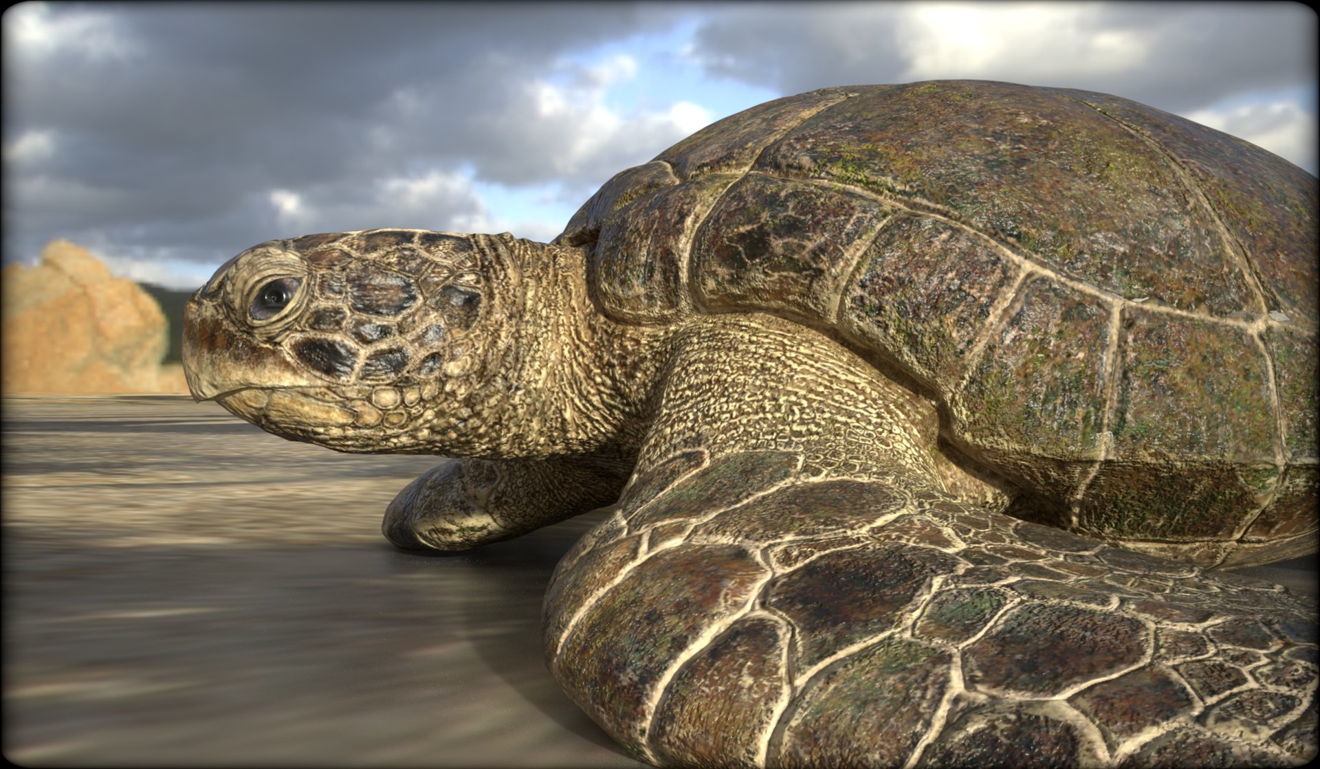 ArtStation - Green Turtle