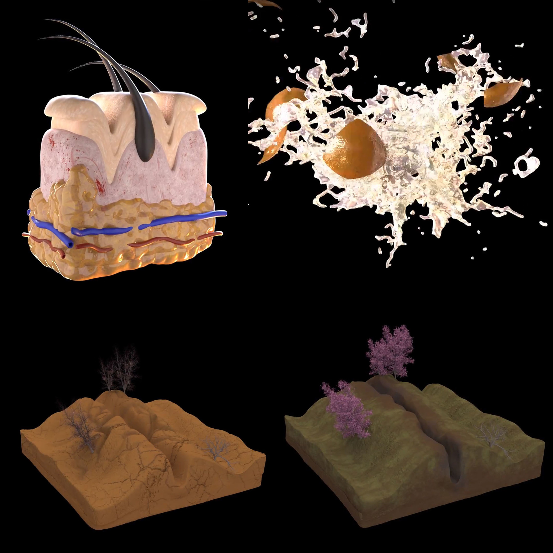 ArtStation Random 3D Simulations