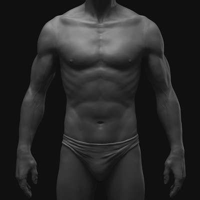 Ilhan yilmaz male anatomy study all 12
