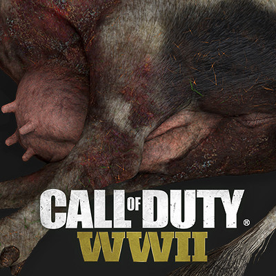 Call of Duty: WWII – Onde anda o Call of Duty que me lembrava? – Rubber  Chicken