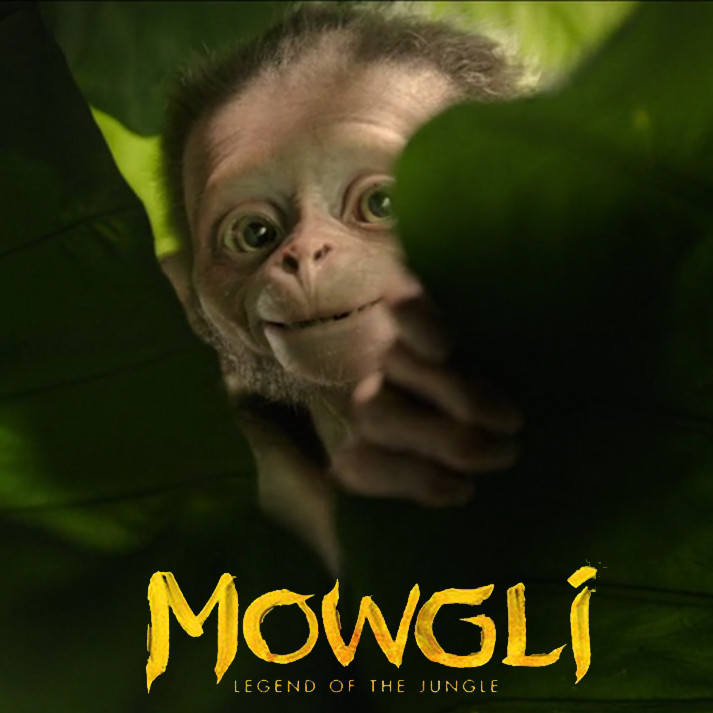 mowgli teddy