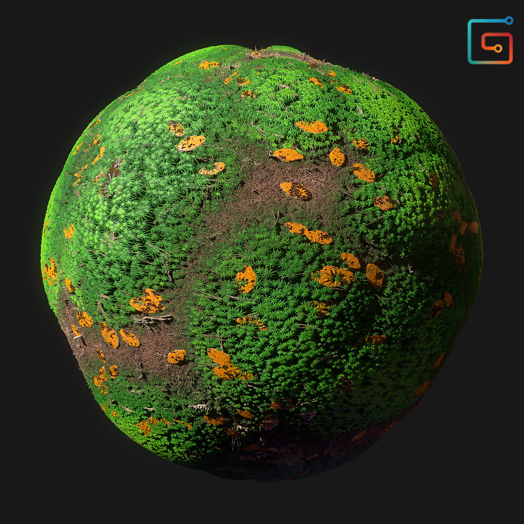 ArtStation - Forest Ground with Moss Substance