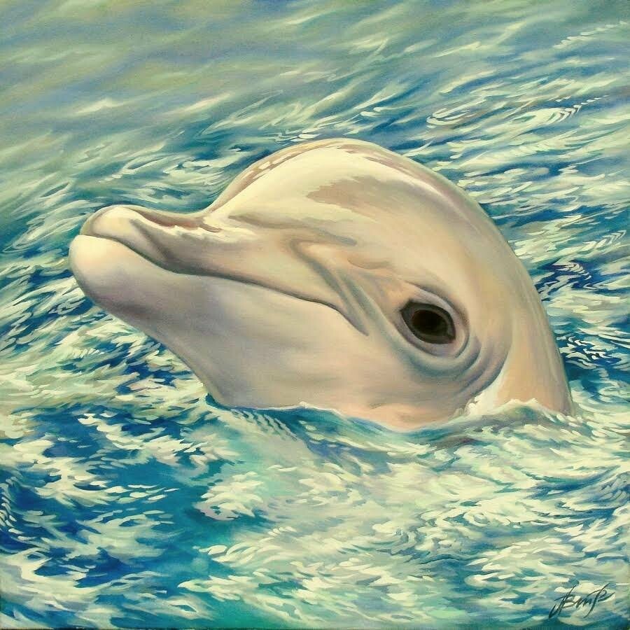Oil Painting Delphin