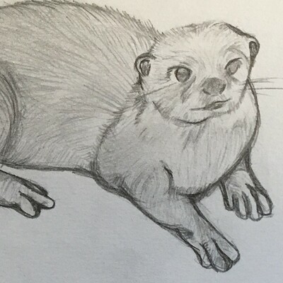 Jessica chell day 1 otter