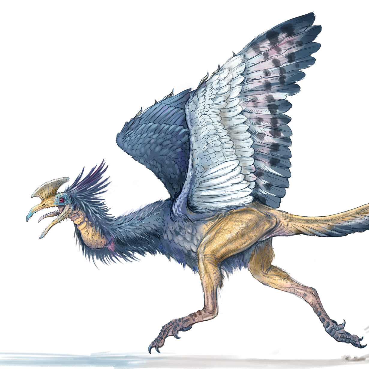 ArtStation - Hackbill (bird and dinosaur hybrid)