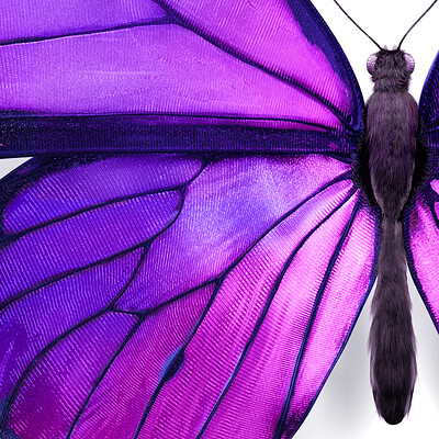 Telus Canada - Butterfly