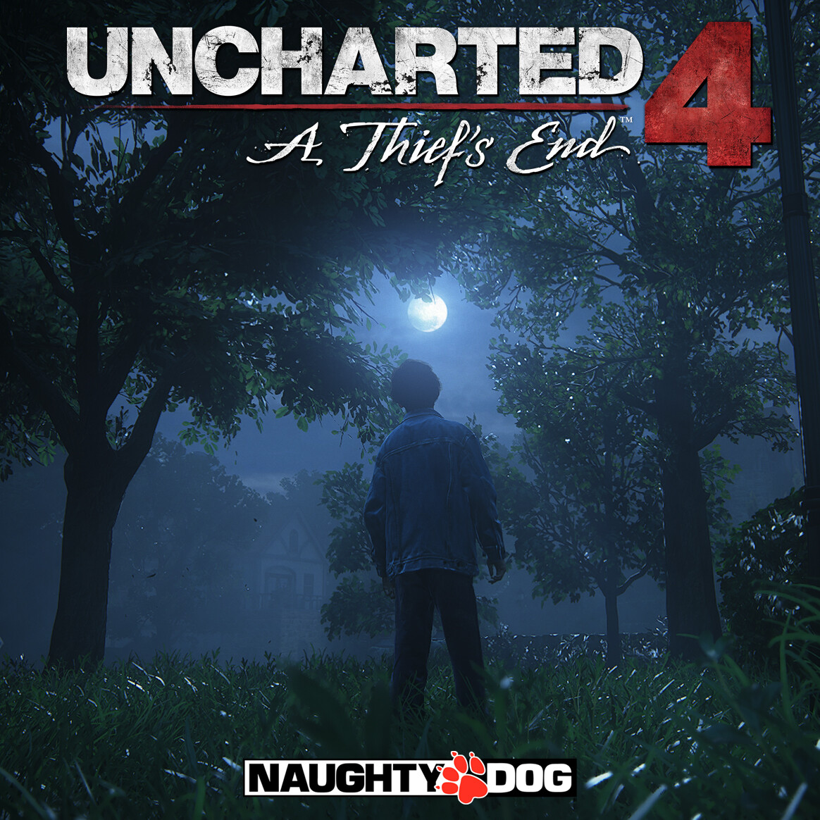 Free Download Uncharted 4  Uncharted, Wedding album design, Photoshop  design