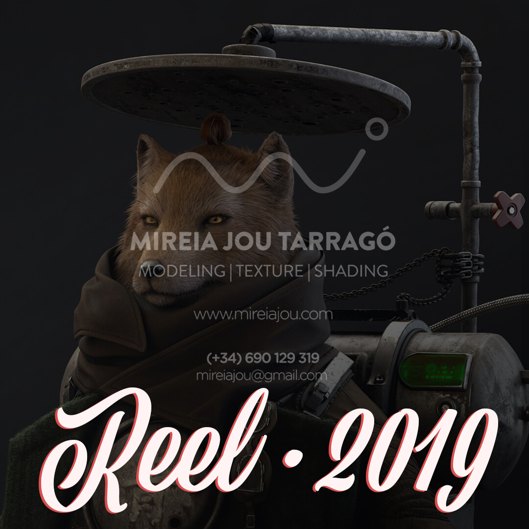 Reel 2019