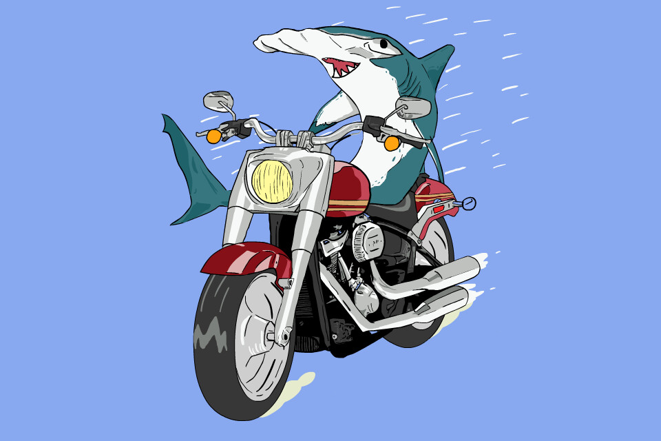 shark on a motorcycle