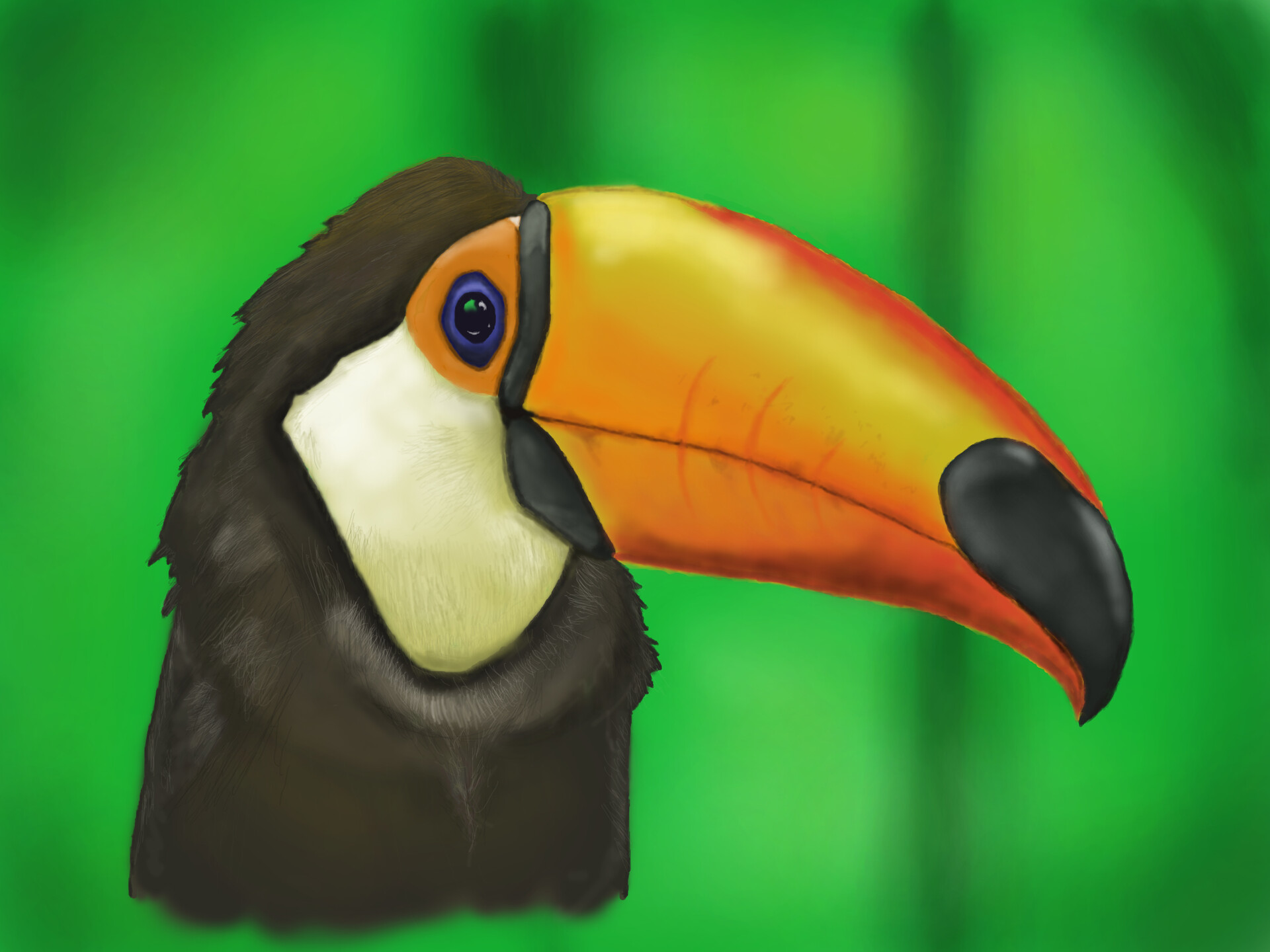 ArtStation - Toucan