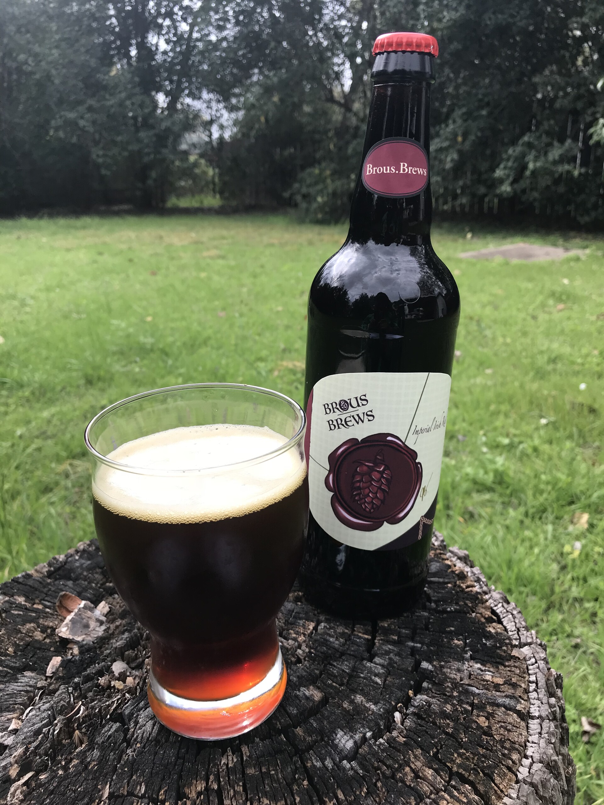 ArtStation Imperial Irish Red Ale