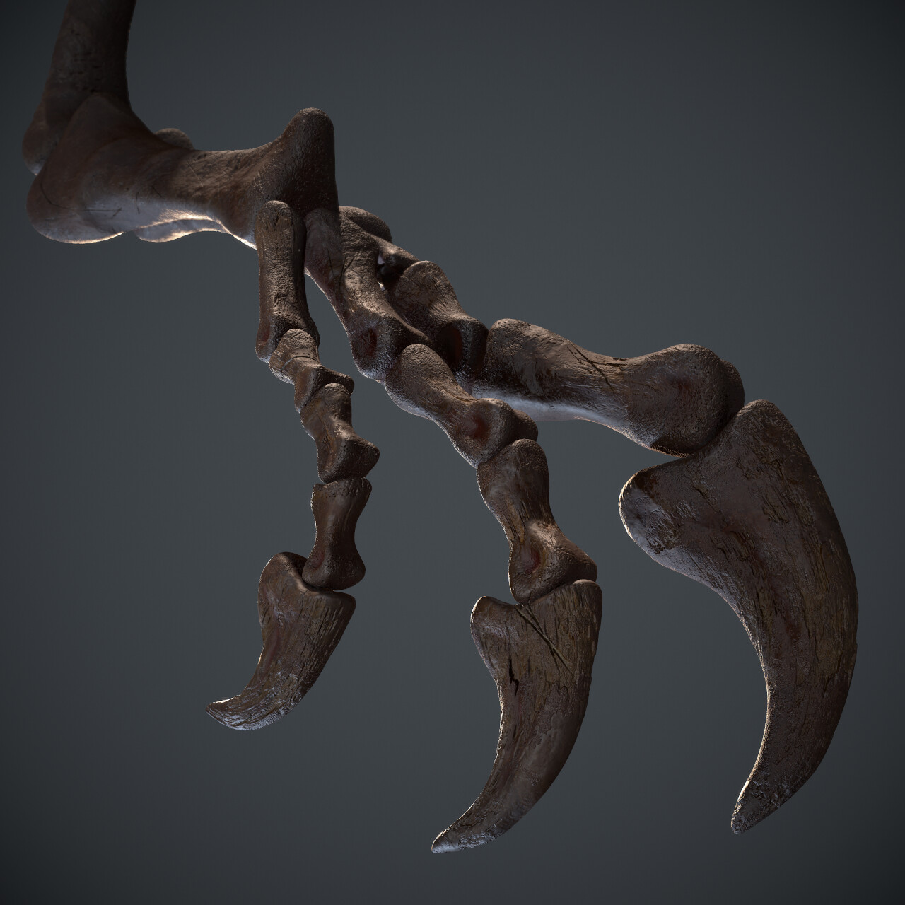 ArtStation - Allosaurus Fragilis Arm Bones: Realtime