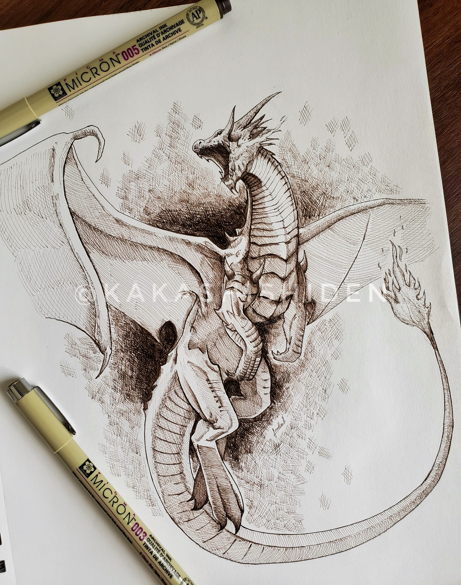 Drawing  Png Download  Fire Dragon Sketches Transparent Png   Transparent Png Image  PNGitem