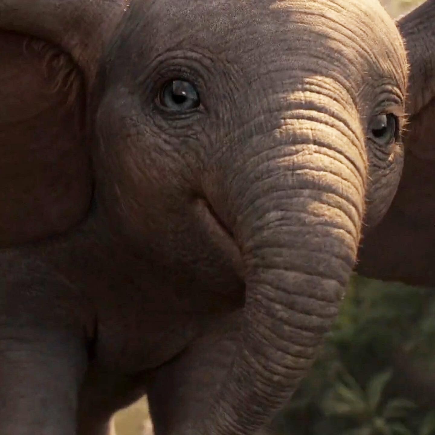 Dumbo character model