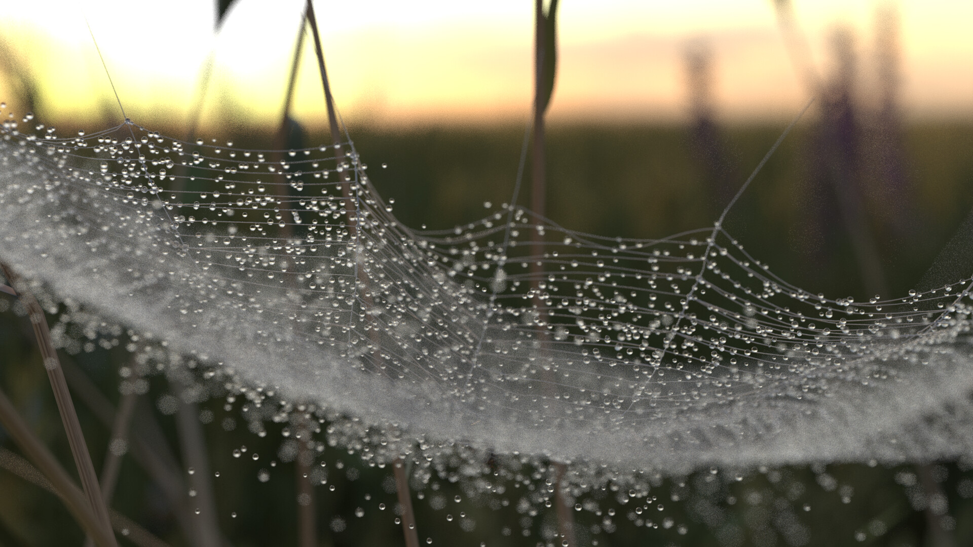 ArtStation Spiderweb Vellum Houdini