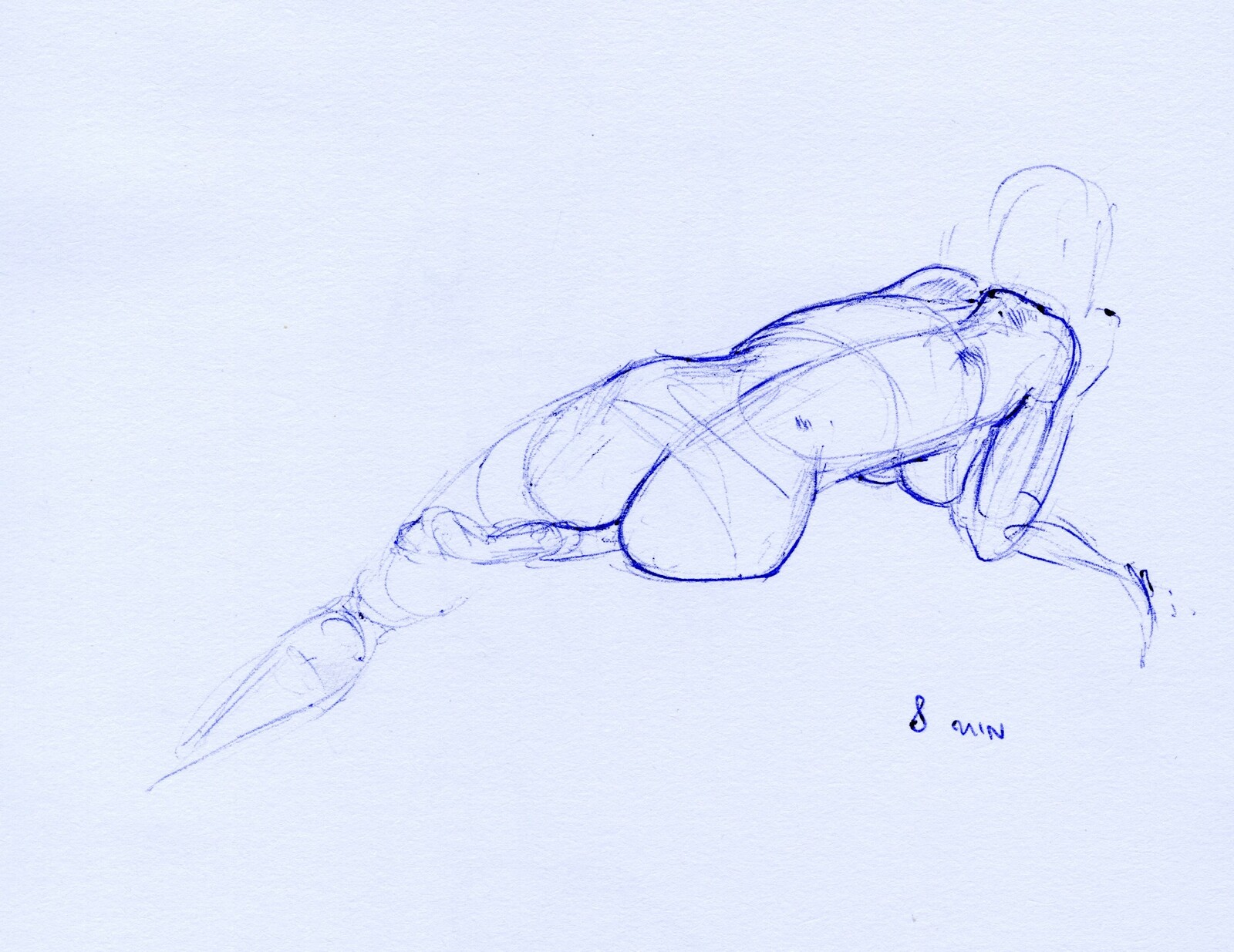 Female Figure Studies