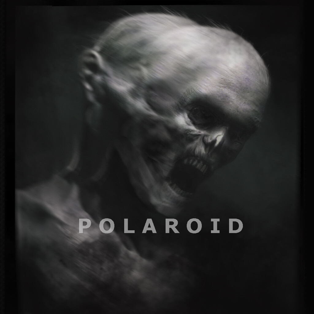 Polaroid concepts 02