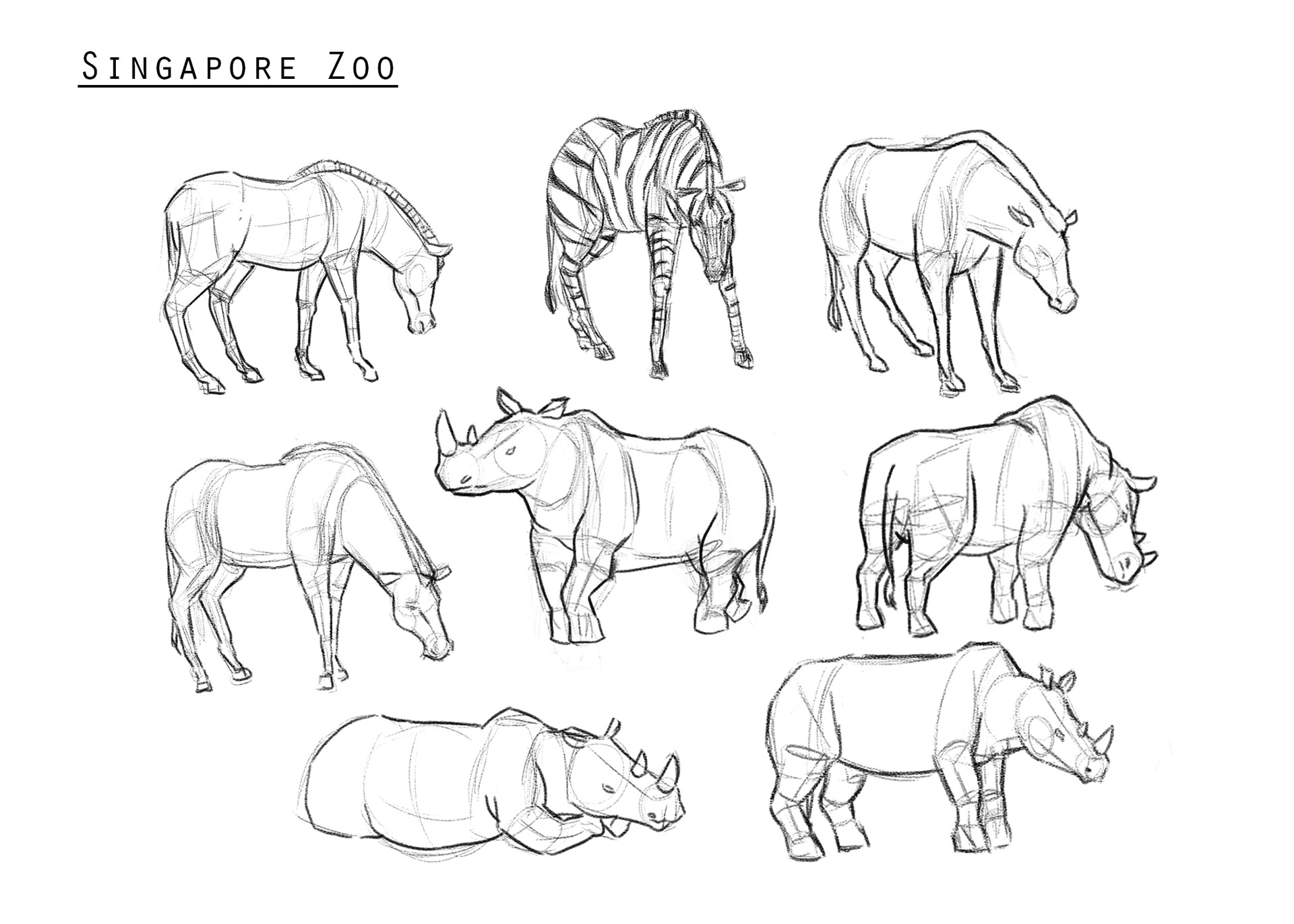 ArtStation Animal Gesture Drawings