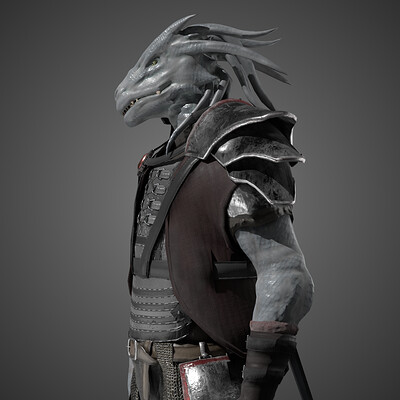 ArtStation - Model A - Megaman ZX Advent