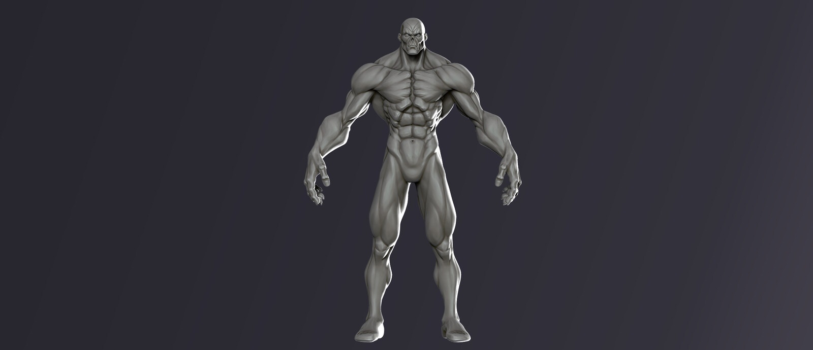 Stylized Anatomy Study