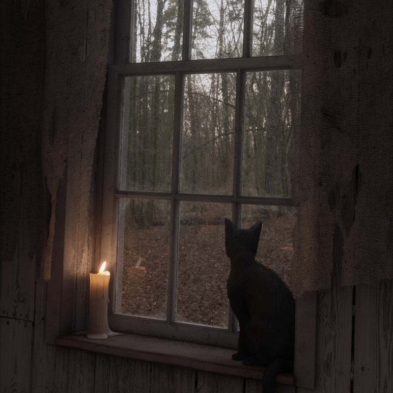 Someone is Coming!