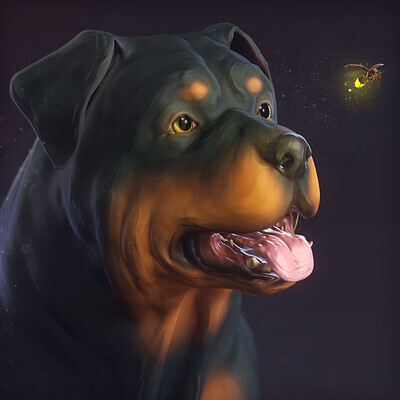 Warlock Rottweiler