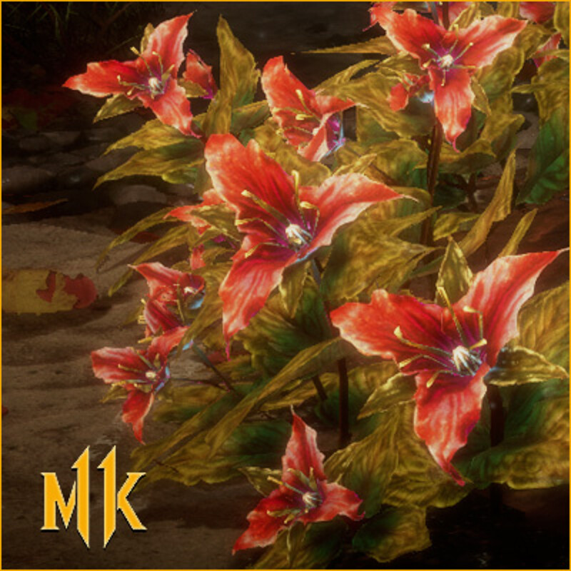 Trillium Flowers