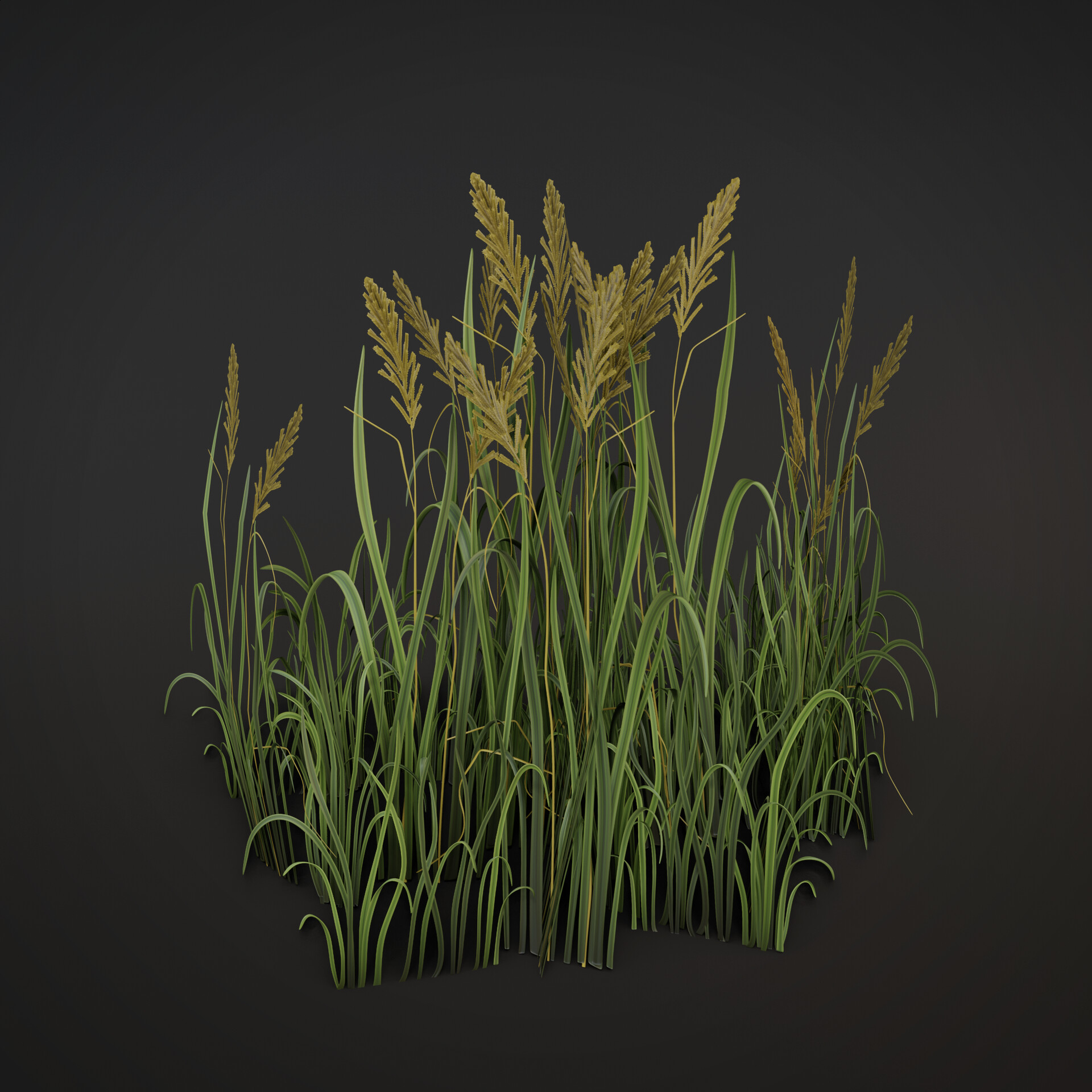 ArtStation - Grass