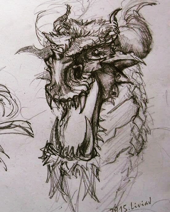 Dragon sketch